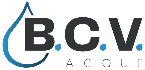 logo BcV